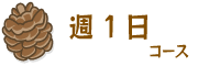 週1日コース