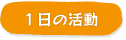 一日の活動